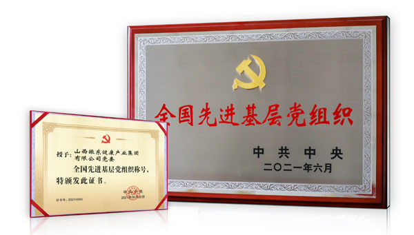 J9集团党委荣获“全国先进基层党组织”