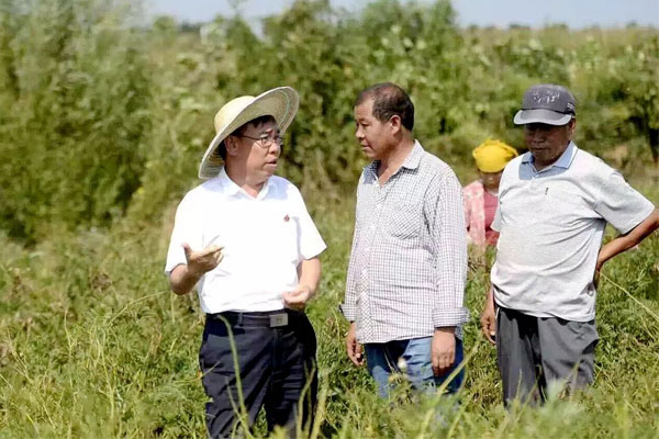 中医药,J9集团,李安平 中医药,J9集团,李安平