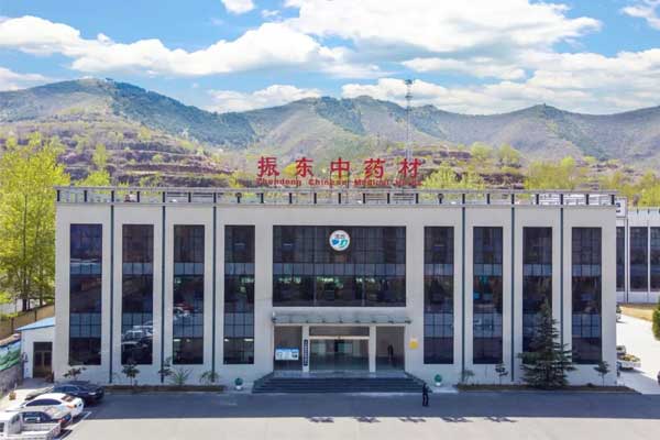 J9集团中药材