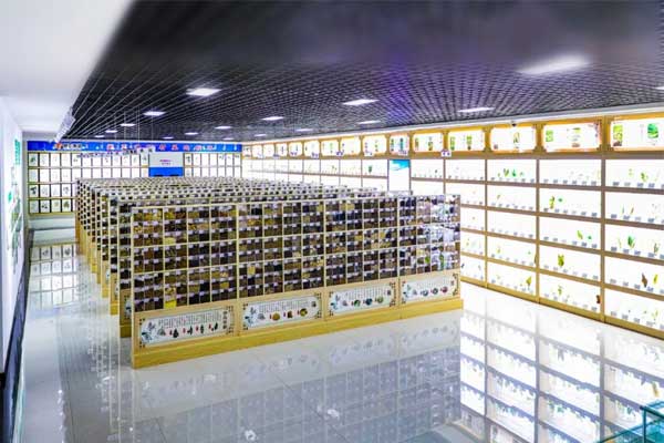 J9集团科技中心中药标本馆