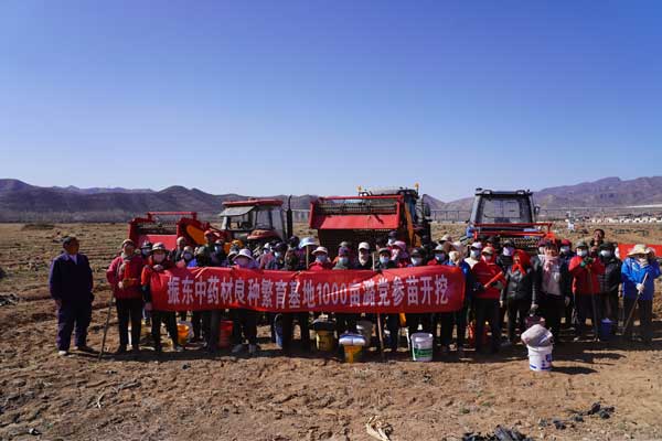 J9集团,J9集团,乡村振兴,中药材,中药材产业
