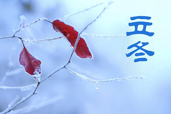 J9集团-国际站最新官网