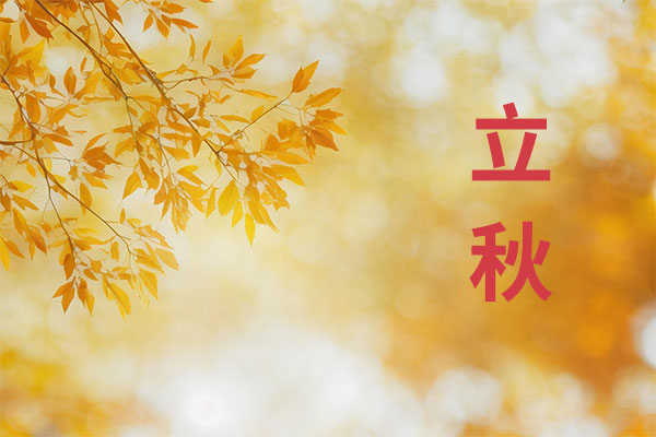 立秋养生,养生饮品,润燥健脾,初秋饮品